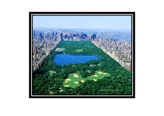 New york images and labels