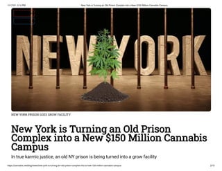 11/17/21, 2:15 PM New York is Turning an Old Prison Complex into a New $150 Million Cannabis Campus
https://cannabis.net/blog/news/new-york-is-turning-an-old-prison-complex-into-a-new-150-million-cannabis-campus 2/15
NEW YORK PRISON GOES GROW FACILITY
New York is Turning an Old Prison
Complex into a New $150 Million Cannabis
Campus
In true karmic justice, an old NY prison is being turned into a grow facility
 Edit Article (https://cannabis.net/mycannabis/c-blog-entry/update/new-york-is-turning-an-old-prison-complex-into-a-new-150-million-cannabis-campus)
 Article List (https://cannabis.net/mycannabis/c-blog)
 