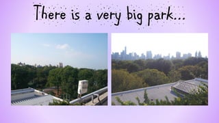 There is a very big park...  
