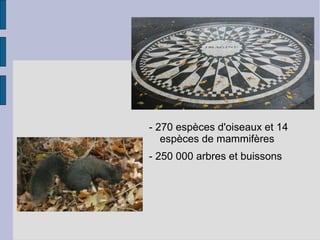 - 270 espèces d'oiseaux et 14
espèces de mammifères
- 250 000 arbres et buissons
 