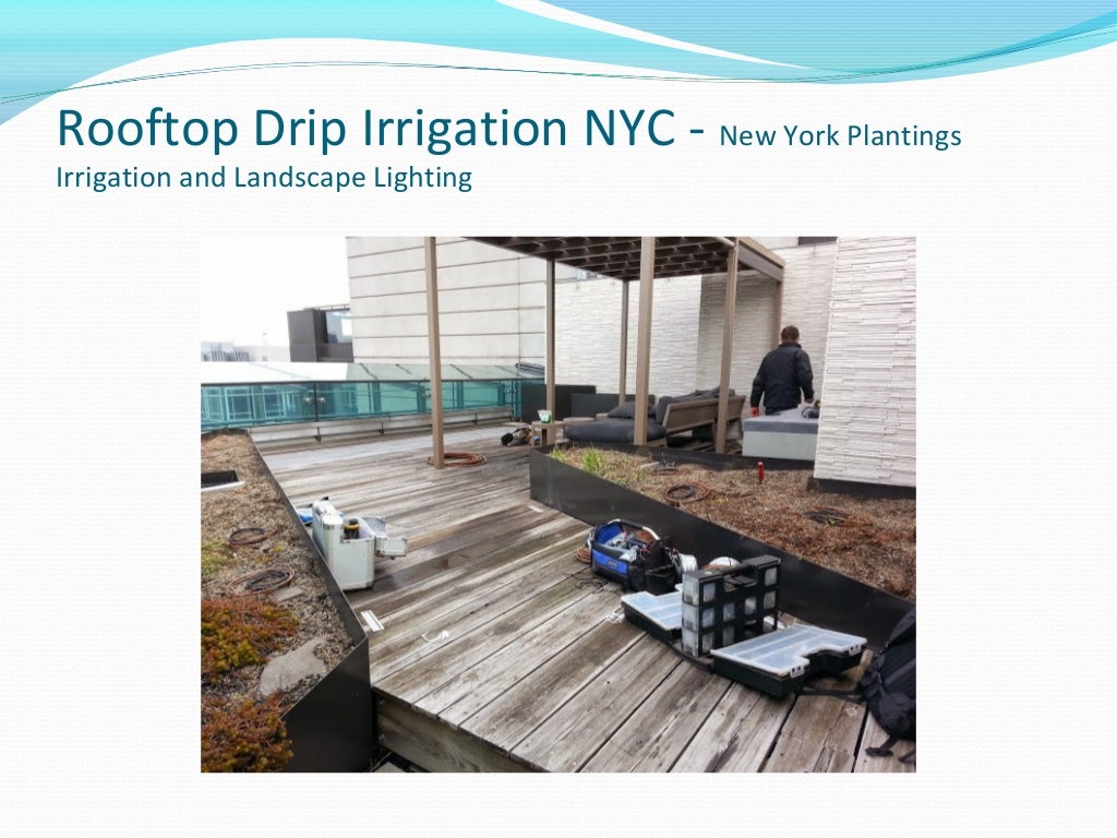 Manhattan rooftop drip irrigation New York Plantings Irrigation