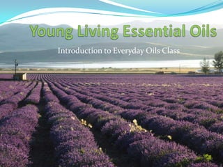 Introduction to Everyday Oils Class

 