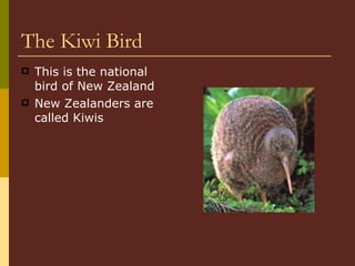 The Kiwi Bird This is the national bird of New Zealand New Zealanders are called Kiwis 