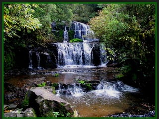 Parakanui falls 