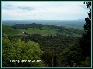 Heerlijk groene weiden 