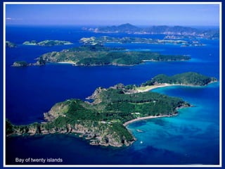Bay of twenty islands 