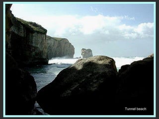 Tunnel beach 