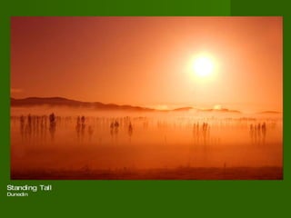 Standing Tall Dunedin  