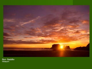 Sun Saddle  Westport  