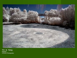 Yin & Yang  Nelson  Infrared Photography 