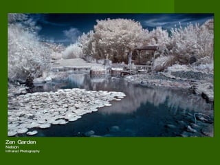 Zen Garden Nelson  Infrared Photography 