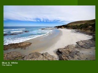 Blue & White The Catlins 