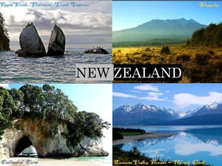 NEW ZEALAND 
 