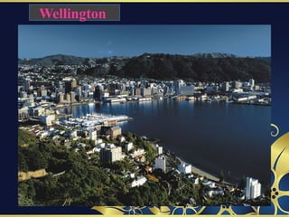 Wellington
 