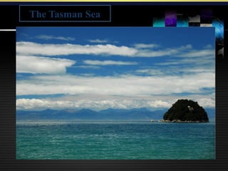 The Tasman Sea
 