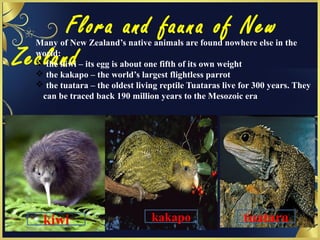 Flora and fauna of New
Zealand
Many of New Zealand’s native animals are found nowhere else in the
world:
 the kiwi – its egg is about one fifth of its own weight
 the kakapo – the world’s largest flightless parrot
 the tuatara – the oldest living reptile Tuataras live for 300 years. They
can be traced back 190 million years to the Mesozoic era
kiwi kakapo tuatara
 