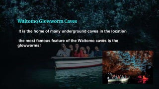 Waitomo Glowworm Caves
It is the home of many underground caves in the location
the most famous feature of the Waitomo caves is the
glowworms!
 