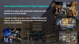 New Zealand Museum (Te Papa Tongarewa
world of unique and authentic treasures and
stories are found inside
museum take you on a tour of New Zealand's
nature, art, history and heritage including the
culture and wildlife.
 