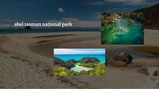 abel tasman national park
 
