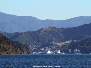 Queen Charlotte Sound - Picton 
