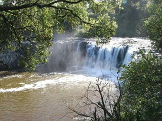 Haruru Falls 