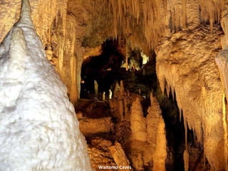 Waitomo Caves 