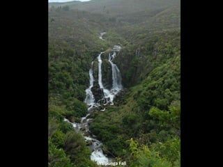 Waipunga Fall 