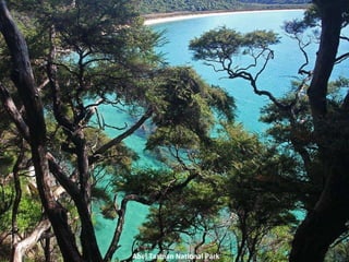 Abel Tasman National Park 