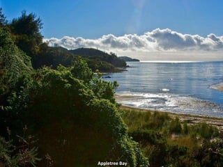 Appletree Bay 