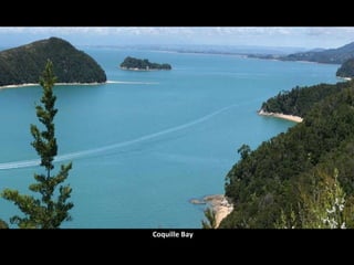 Coquille Bay 