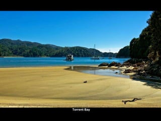 Torrent Bay 