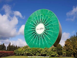 Kiwi  fruit capital of the world 