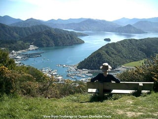 View from Tirahanga to Queen Charlotte Track 