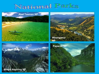 Abel Tasman NP
Mount Aspiring NP
Whanganui
NP
Paparoa NP
 