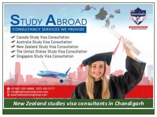 New Zealand studies visa consultants in Chandigarh
 