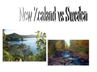 New Zealand vs Sweden 