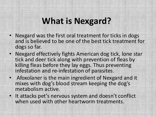 nexgard for dogs reviews nexgard for dogs review nexgard for dogs reviews nexgard for dogs review