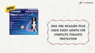Give ONE NexGard PLUS
chew every month for
complete parasite
protection
 