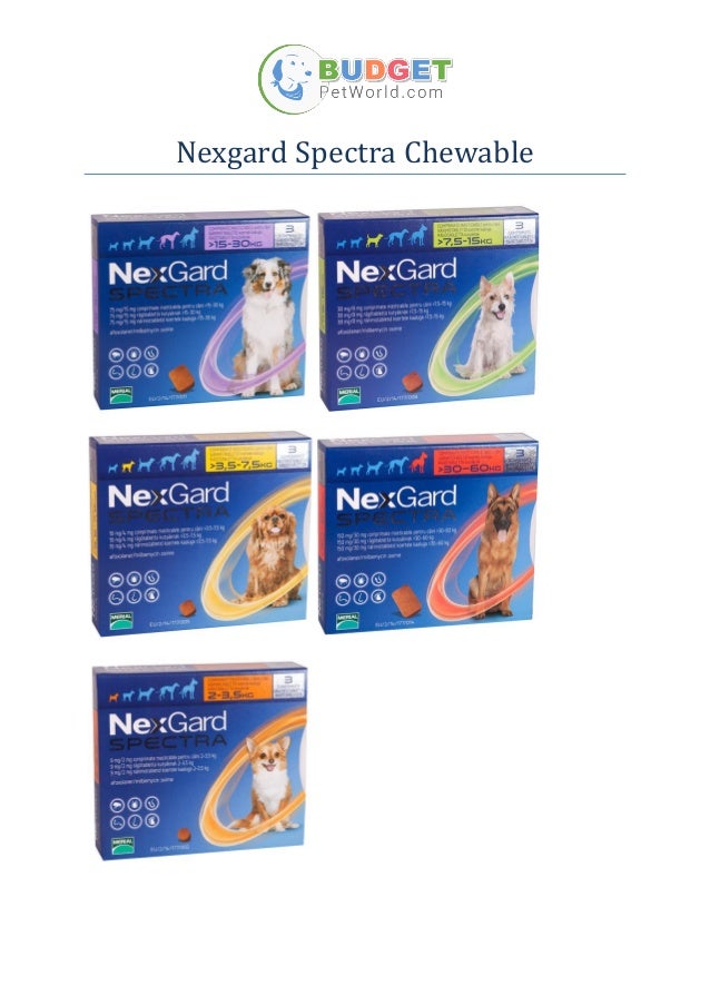 nexgard spectra budget pet products