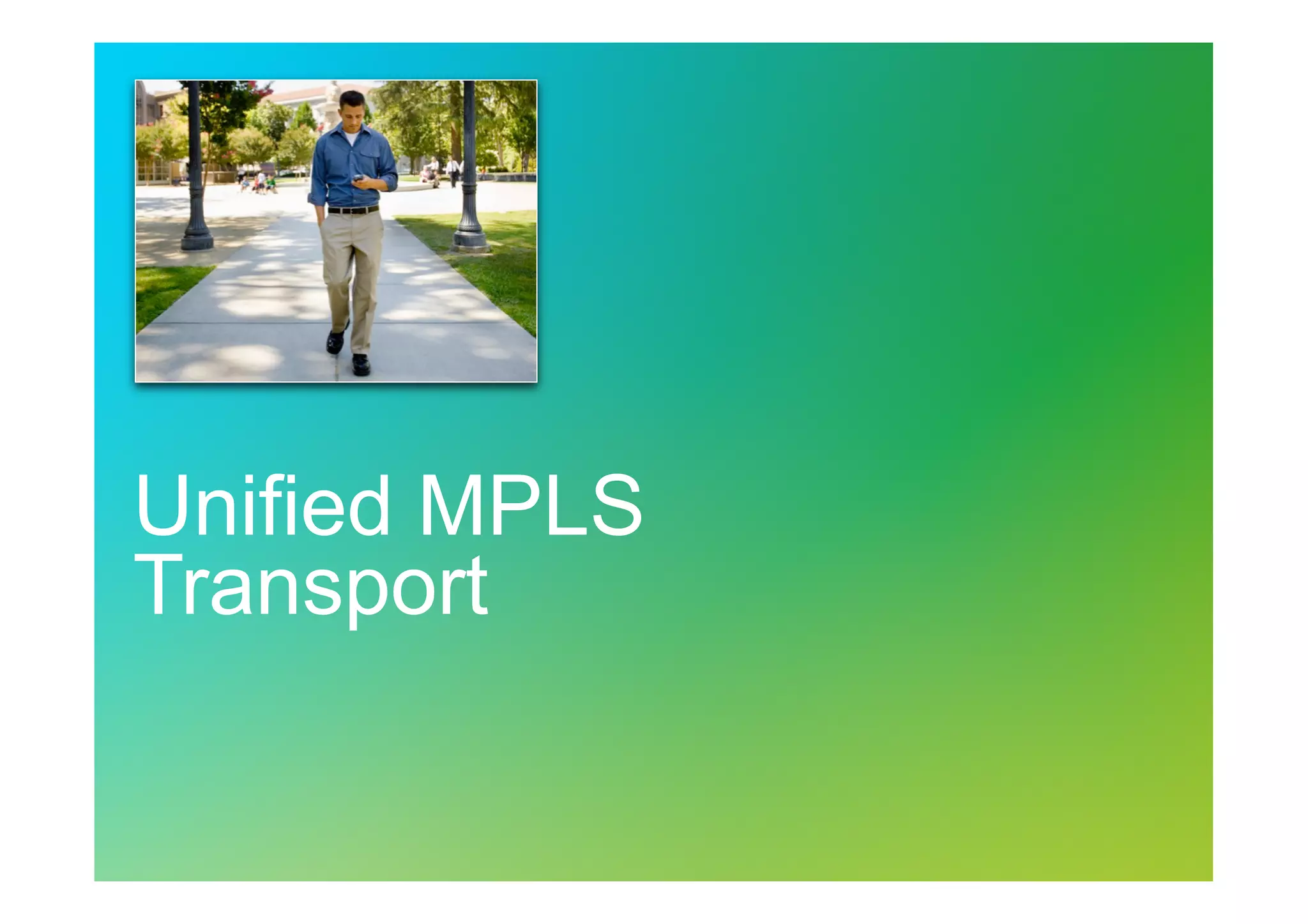 Unified MPLS
Transport

 