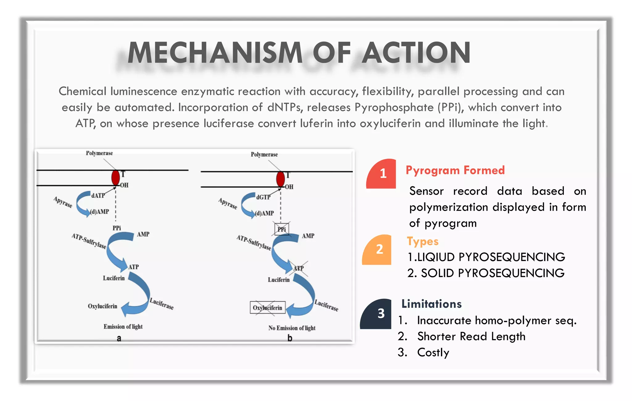 1
Sensor record data based on
polymerization displayed in form
of pyrogram
Pyrogram Formed
2 1.LIQIUD PYROSEQUENCING
2. SOLID PYROSEQUENCING
Types
3 1. Inaccurate homo-polymer seq.
2. Shorter Read Length
3. Costly
Limitations
MECHANISM OF ACTION
Chemical luminescence enzymatic reaction with accuracy, flexibility, parallel processing and can
easily be automated. Incorporation of dNTPs, releases Pyrophosphate (PPi), which convert into
ATP, on whose presence luciferase convert luferin into oxyluciferin and illuminate the light.
 