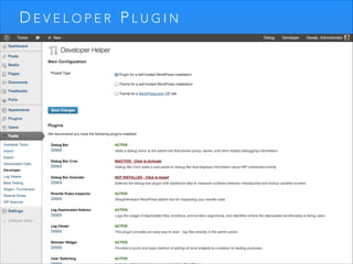 DEVELOPER PLUGIN

 