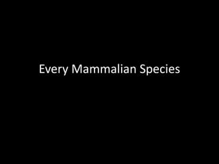 Every Mammalian Species