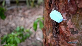 Image: Liz West / Flickr
CHANGEIST
 