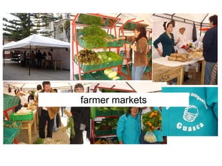 farmer markets
 