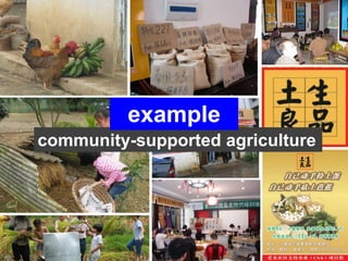 example
community-supported agriculture
 