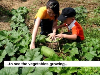 …to see the vegetables growing…
 