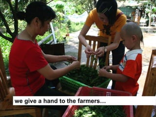 we give a hand to the farmers…
 