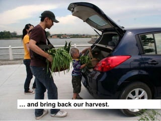 … and bring back our harvest.
 