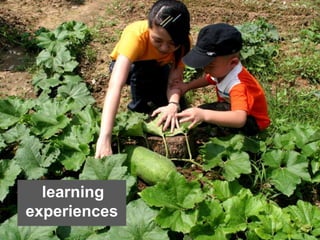learning
experiences
 